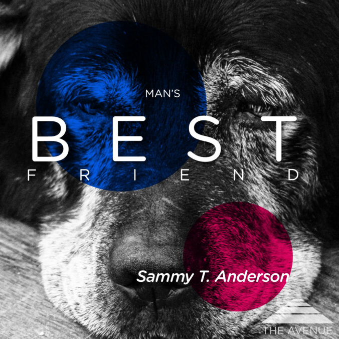 Elderly dog with text "MAN'S BEST FRIEND Sammy T. Anderson"