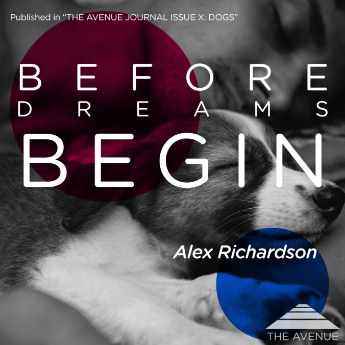 Black & White image of a young man in bed with a puppy dog, both are sleeping, with text “BEFORE DREAMS BEGIN ALEX RICHARDSON”