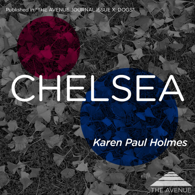 "Black & White image of fallen Ginkgo leaves on grass, with text “Chelsea, Karen Paul Holmes"