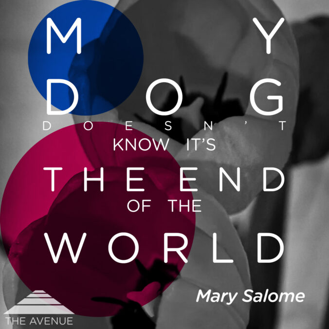 Tulips with text "My dog doesn't know it's tjhe end of the world by Mary Salome"