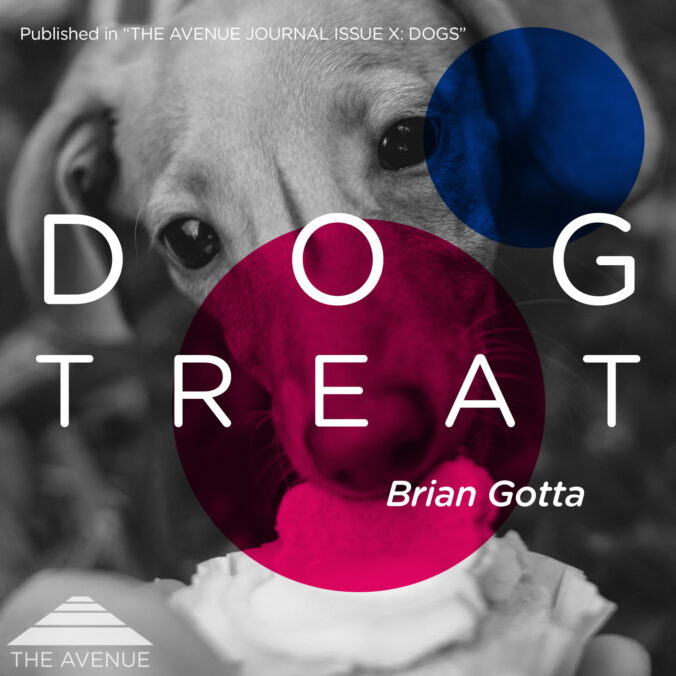 Black & White image of a dog being fed a cupcake, with text “DOG TREAT Brian GOTTA”