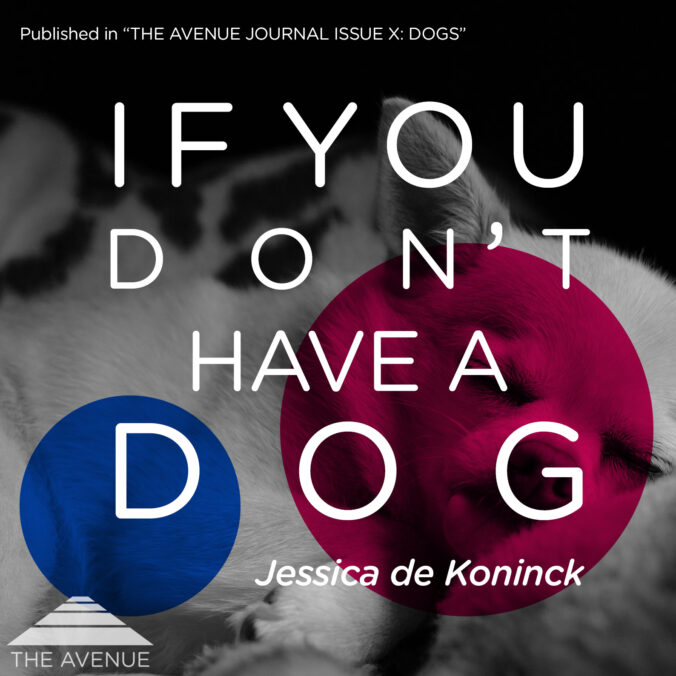 Black & White image of a sleeping dog a and text “IF YOU DON'T HAVE A DOG JESSICA DE KONINCK"