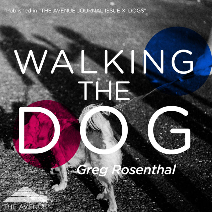 Black & White image of a dog on a leash with two human shadows and text “WALKING THE DOG GREG ROSENTHAL”