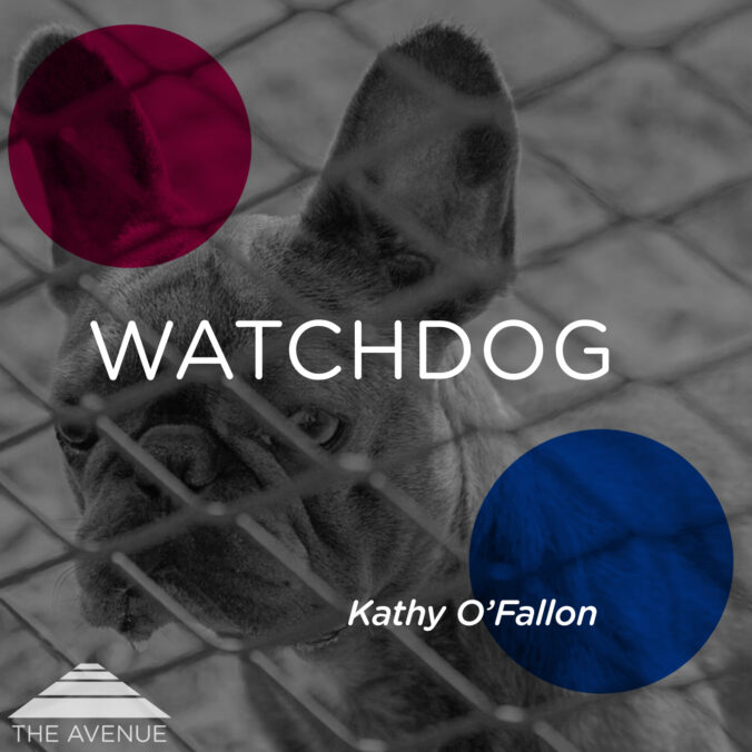 french bulldog behind a fence with text "WATCHDOG KATHY O'FALLON"