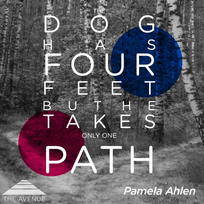 photo of diverging paths in a birch forest with text "THE DOG HAS FOUR FEET BUT HE TAKES ONLY ONE PATH PAMELA AHLEN"