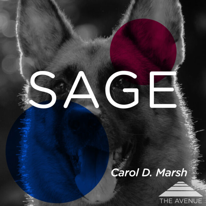 German shepherd with text "SAGE CAROL D. MARSH"