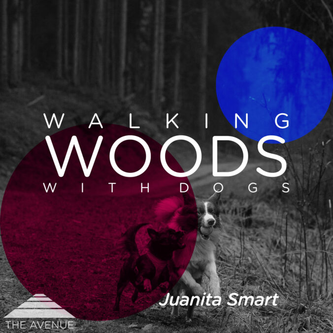 image of dogs running in the woods with text WALKING WOODS WITH DOGS ANITA SMART