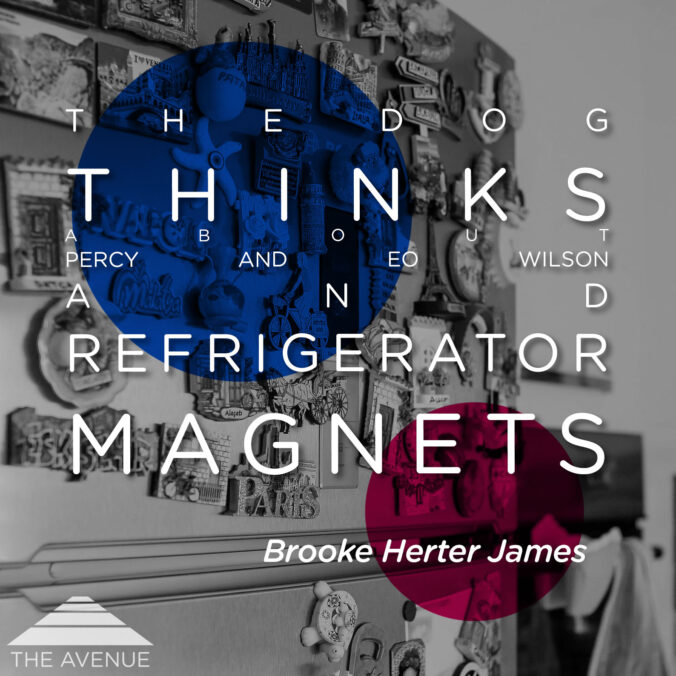 refrigerator with magnets and text "The Dog Thinks About Percy and EO Wilson and Refrigerator Magnets Brooke Herter James"